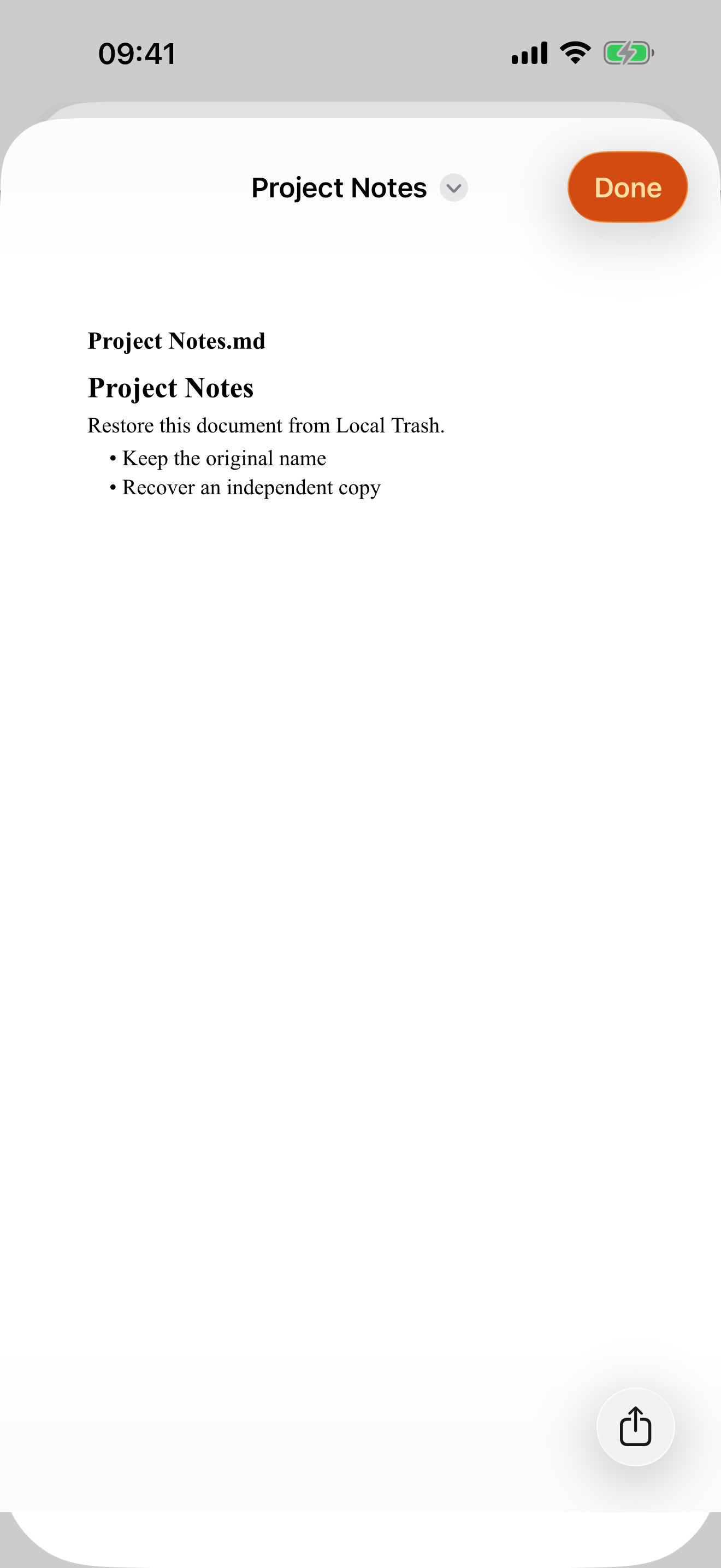 Native Word preview displaying editable body text